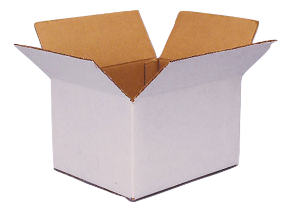 White Exterior Kraft Box Example
